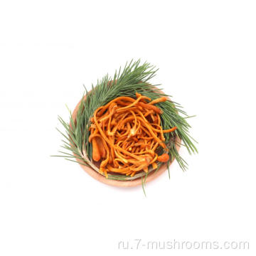 ISO22000 Здоровый замороженный Cordyceps Flower-1 кг